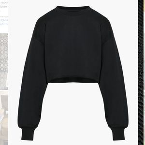 NWT Aritzia Cropped Crew Neck Sweatshirt
